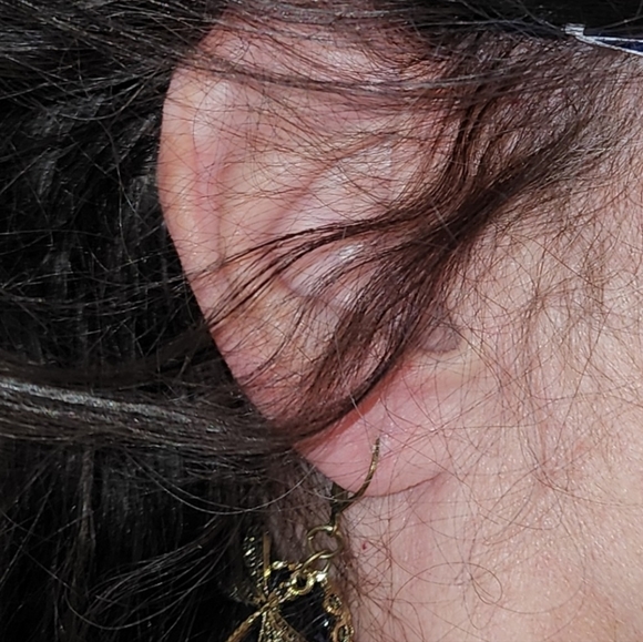 New Vintage Look Dragonfly Self Latch Earrings - Picture 6 of 11